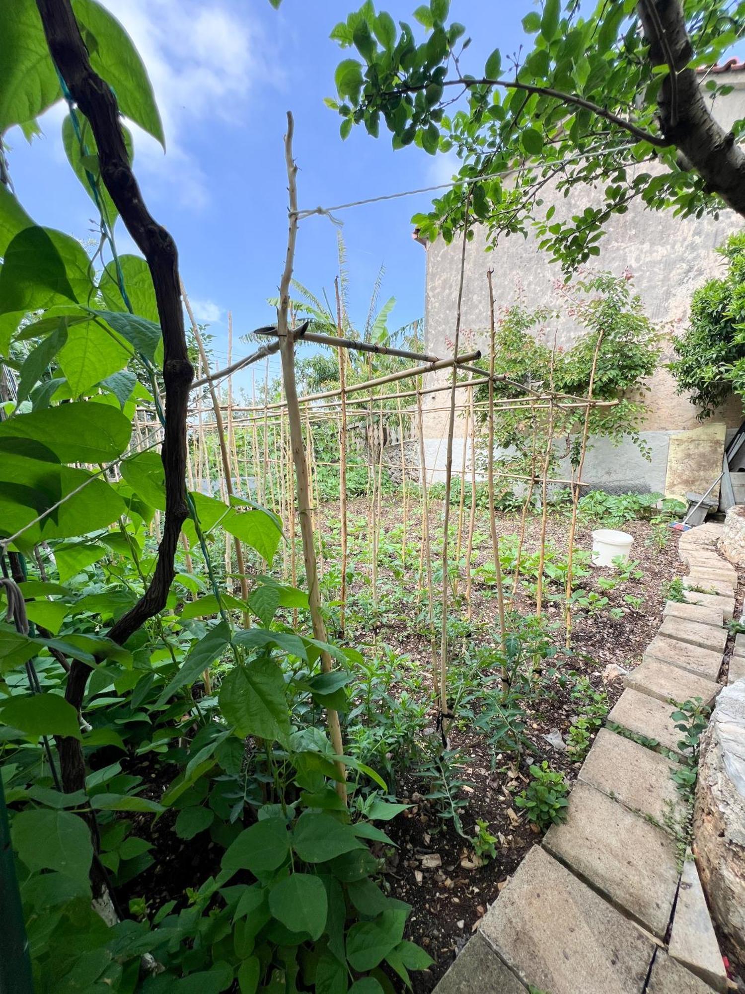 דרמי Petra Oliva Apartment מראה חיצוני תמונה