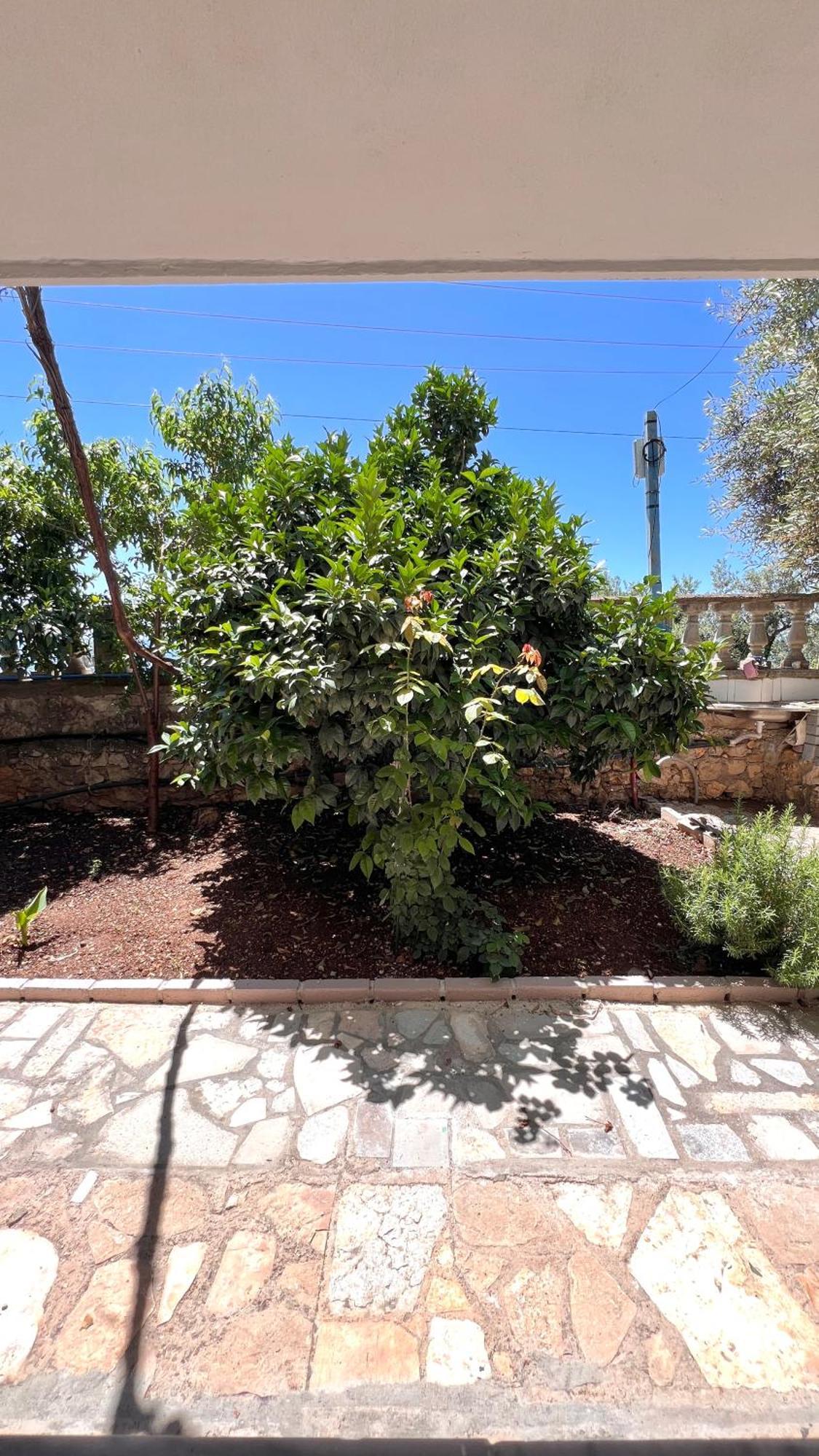 דרמי Petra Oliva Apartment מראה חיצוני תמונה